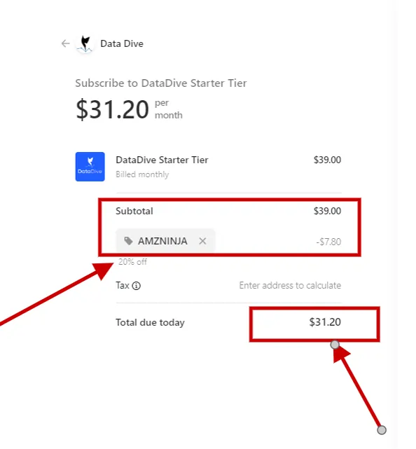 Applying DataDive Coupon Code at Checkout